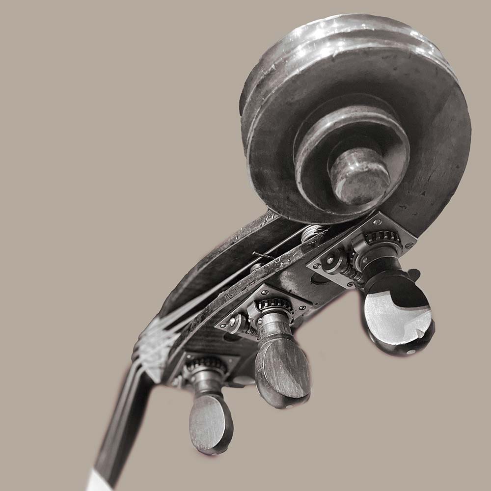 Griffe eines Musikinstrument, Schwarz-weiß , Makroaufnahme, Produktaufnahme, Kontrabass