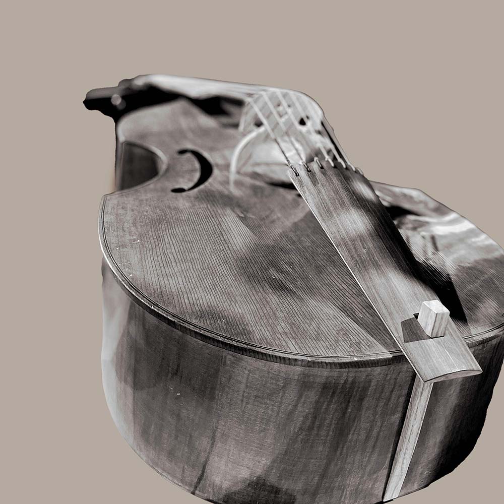 Kontrabass , Musikinstrument, Schwarz-weiß Produktaufnahme